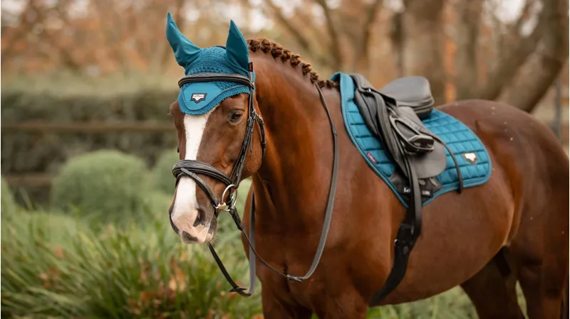 LeMieux Loire Satin Fly Hood Marine-2